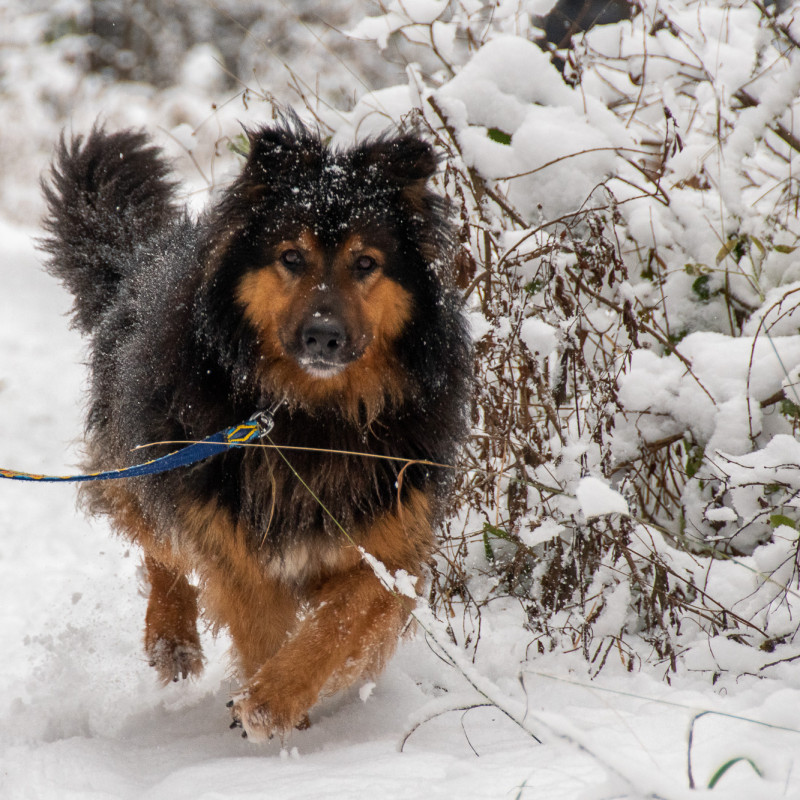 plik foto id: 1400002842