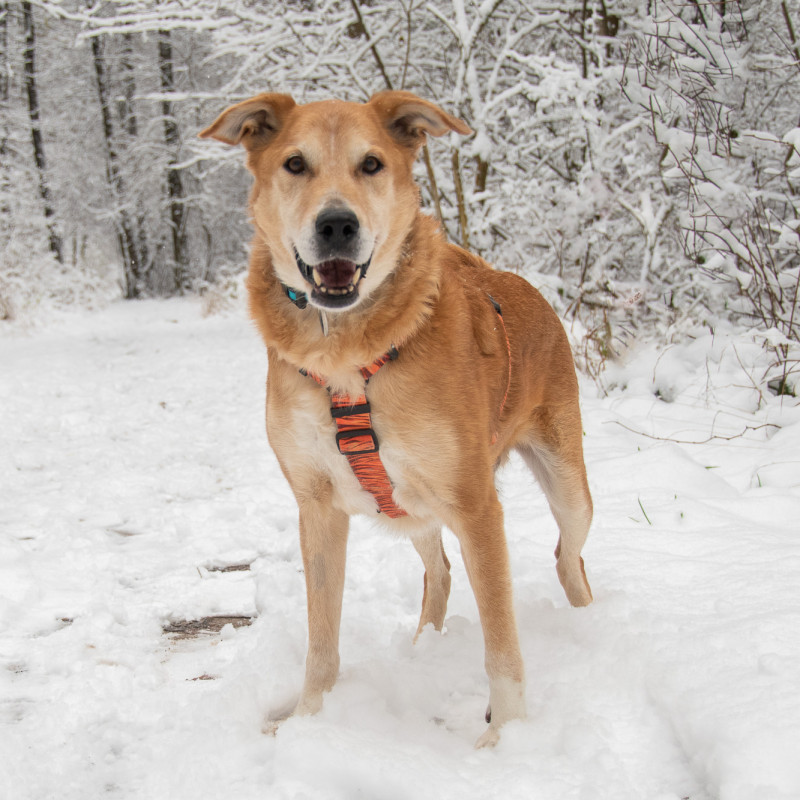 plik foto id: 1400002842