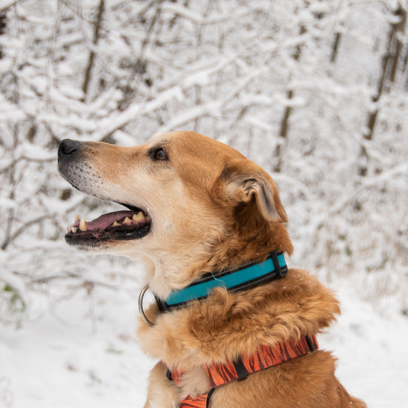 plik foto id: 1400002842