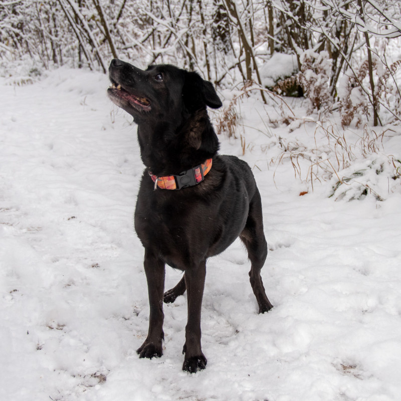 plik foto id: 1400002842