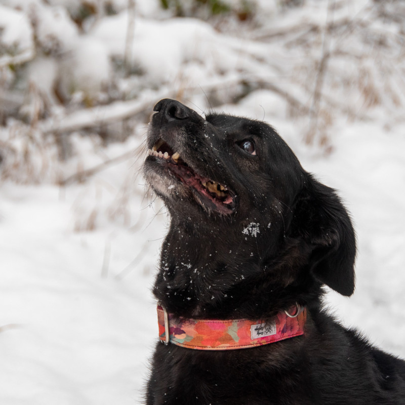 plik foto id: 1400002842