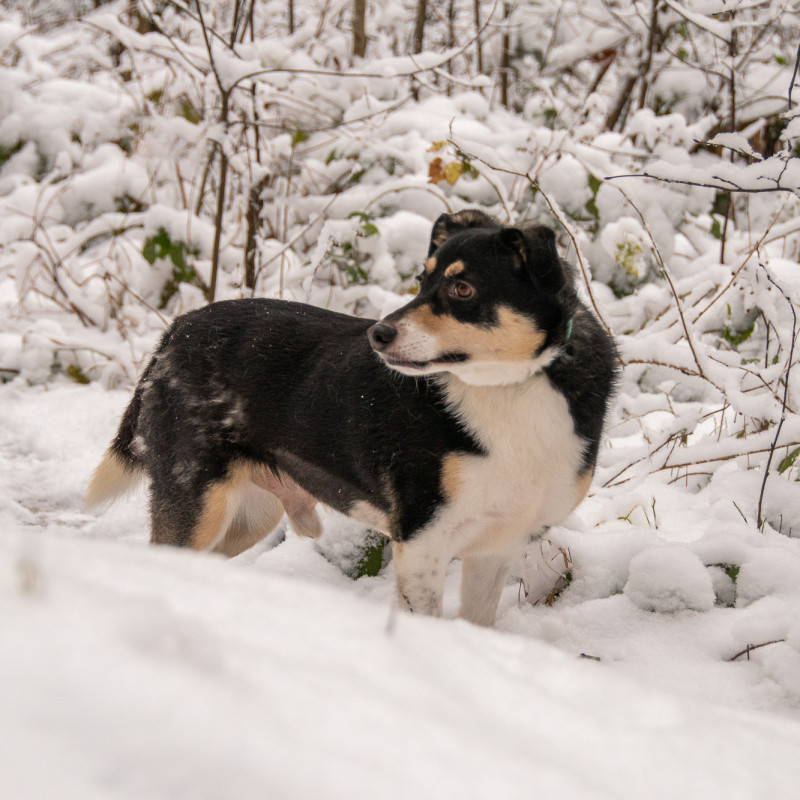 plik foto id: 1400002842