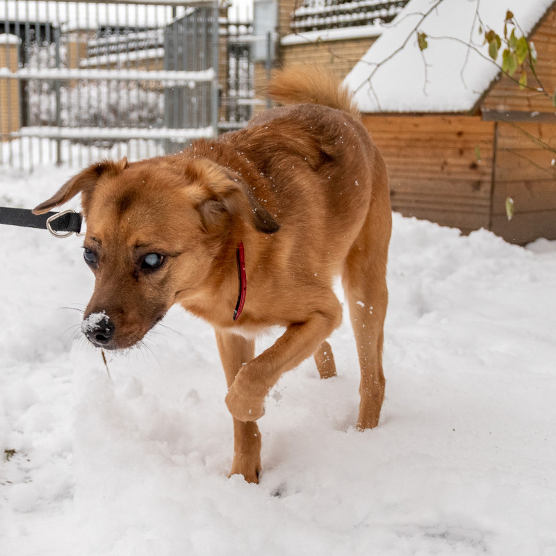 plik foto id: 1400002842