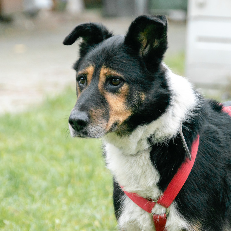 plik foto id: 1400002842