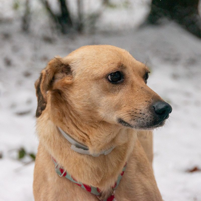 plik foto id: 1400002842