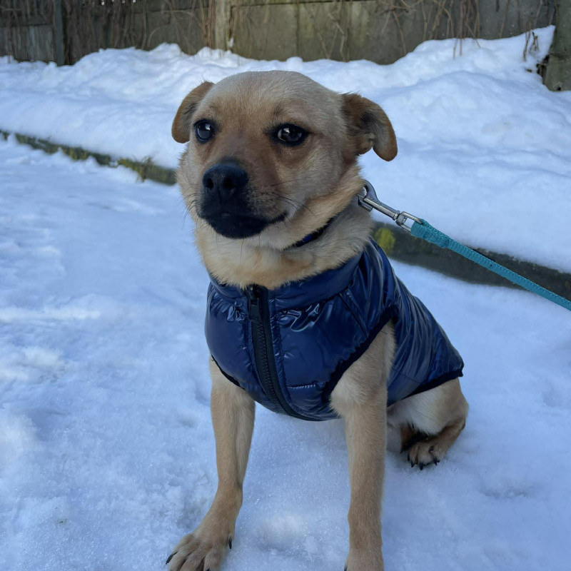 plik foto id: 1400002842