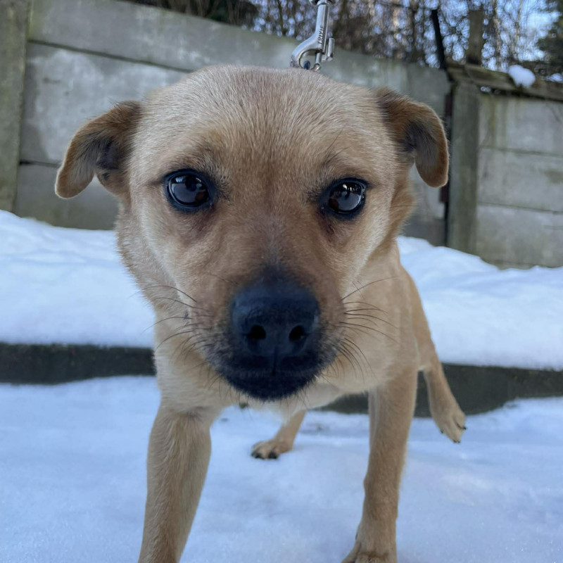 plik foto id: 1400002842