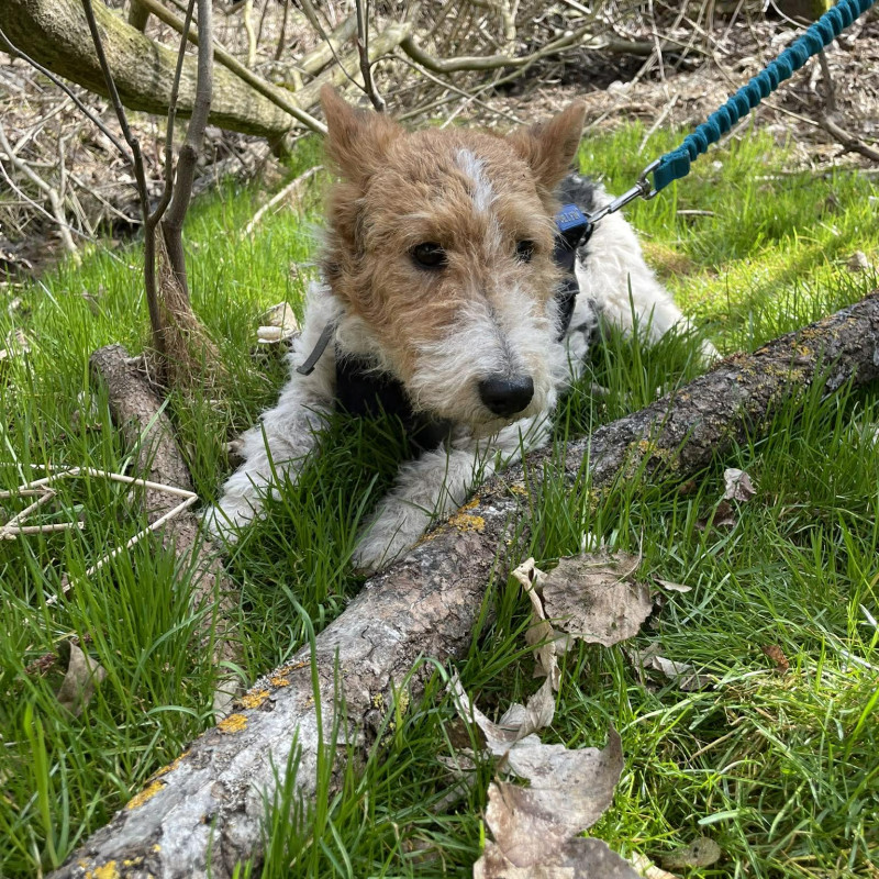 plik foto id: 1400002842